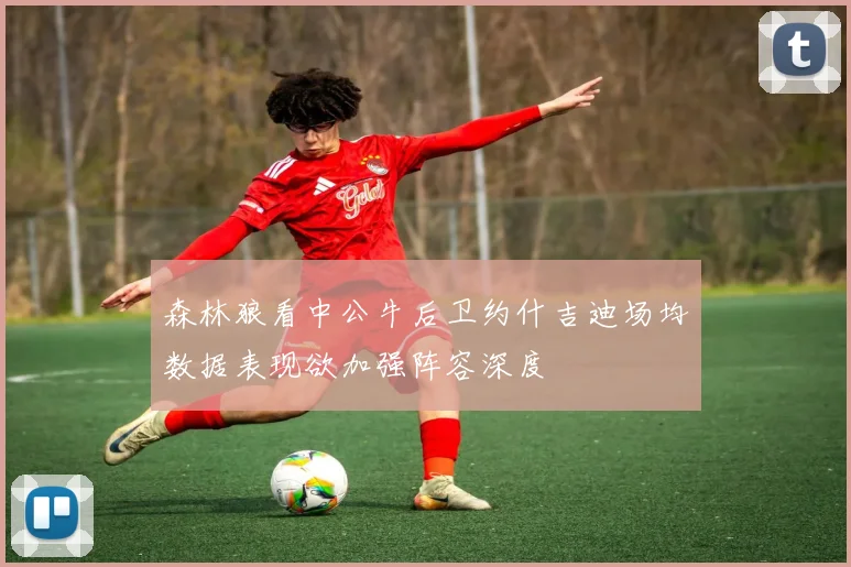 森林狼看中公牛后卫约什吉迪场均数据表现欲加强阵容深度